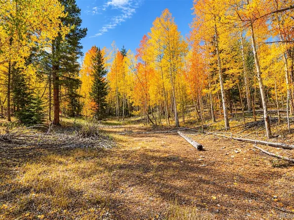 Lot 1 Venture Road Lot 1, Fairplay, CO 80440