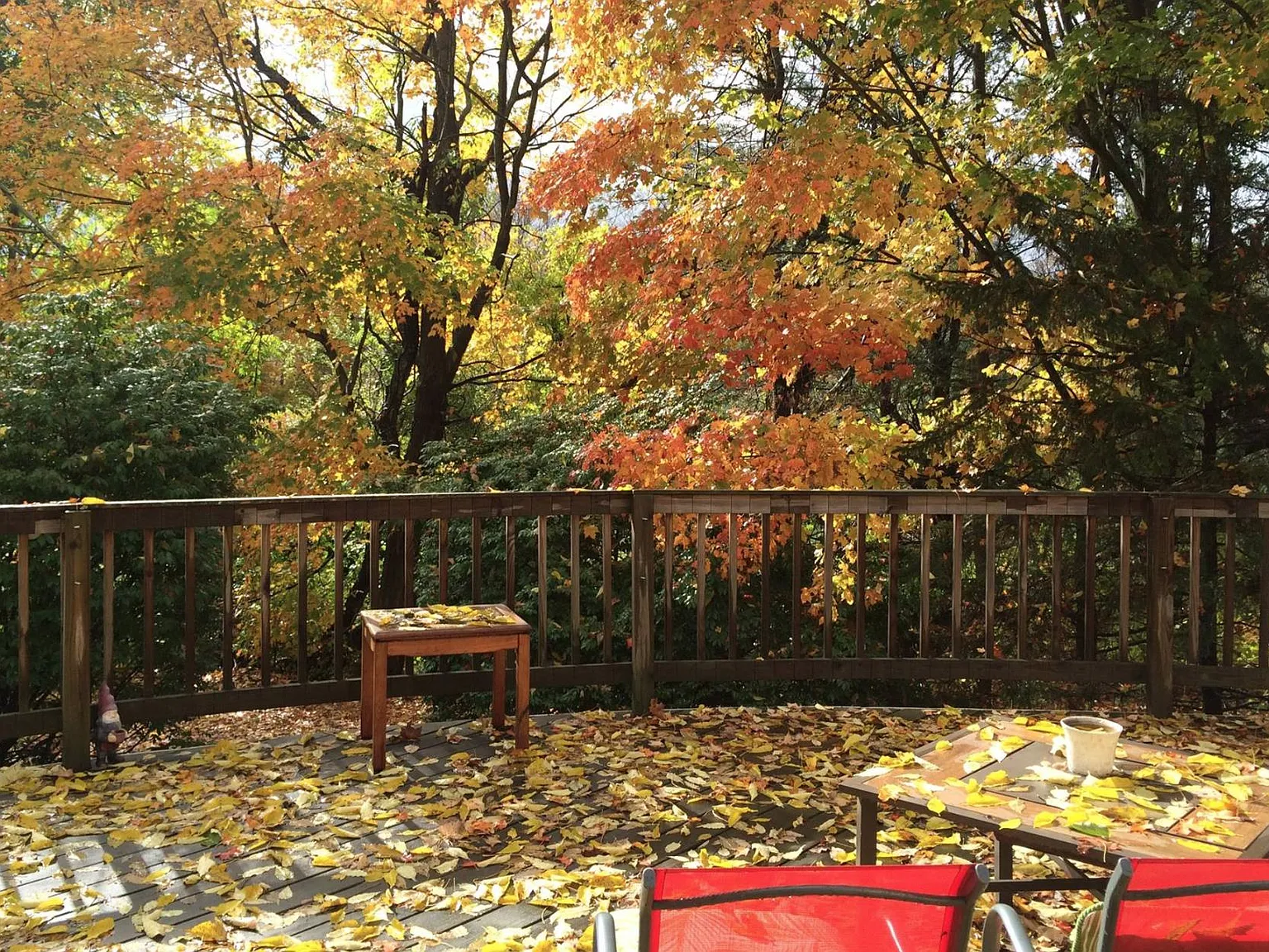 2 bed, 1300 sqft, $3,000 — Photo 3