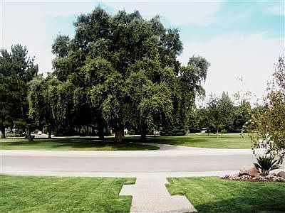 View of Greenbelt.