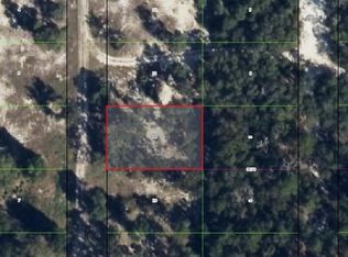 3611 S Cormorant Ter, Inverness, FL 34450