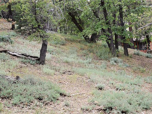 5th image of 43605 Bow Canyon Ln