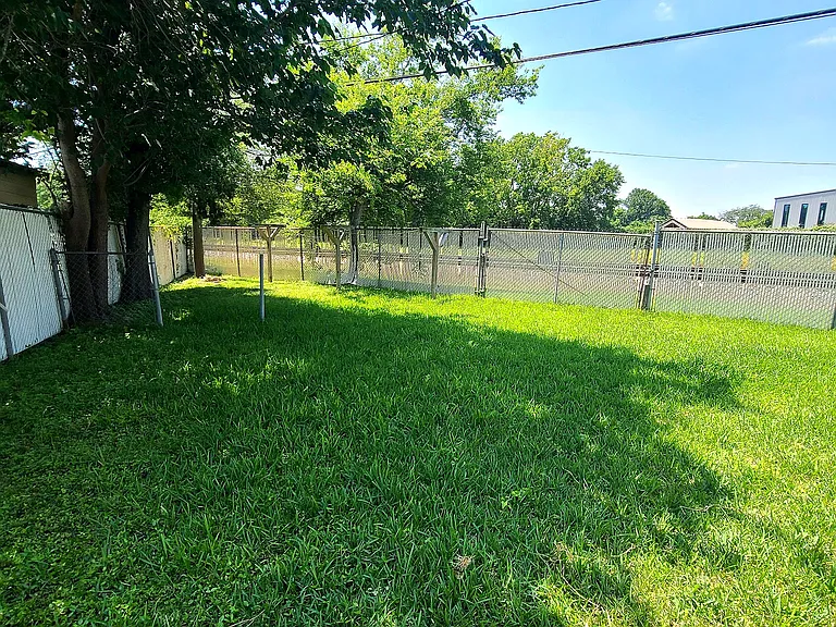 Back yard