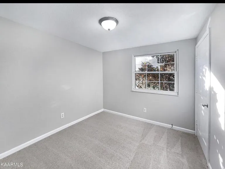 4309 Twin Pines Dr — Photo 10