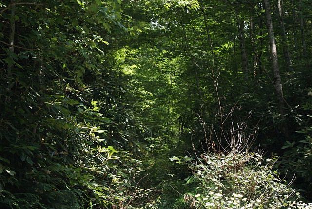 2nd image of Township Road 3 Rockdale Rd