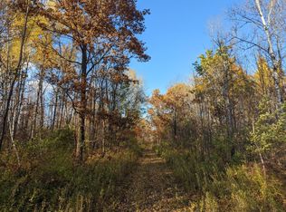 Oo Town Line Rd, Ojibwa, WI 54862