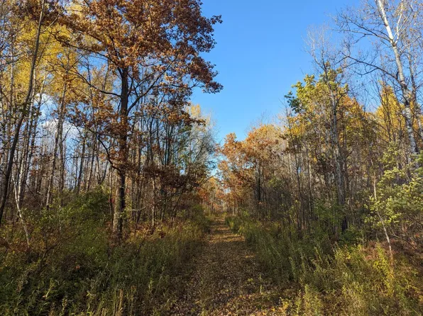 Oo Town Line Rd, Ojibwa, WI 54862