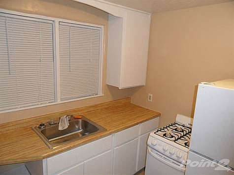 Kitchen cupboards, gas stove, full size fridge.