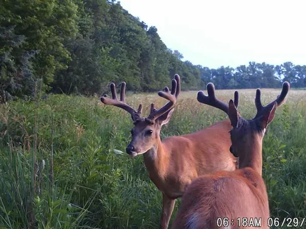 1000 East Rd Tract A, Cedar Pt, KS 66843