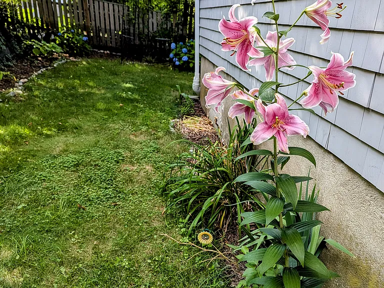14 Highland Ave — Photo 42