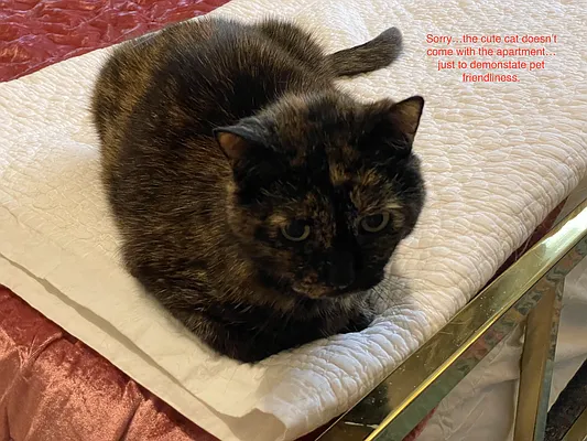 Rented by Keller Williams NYC | media 35