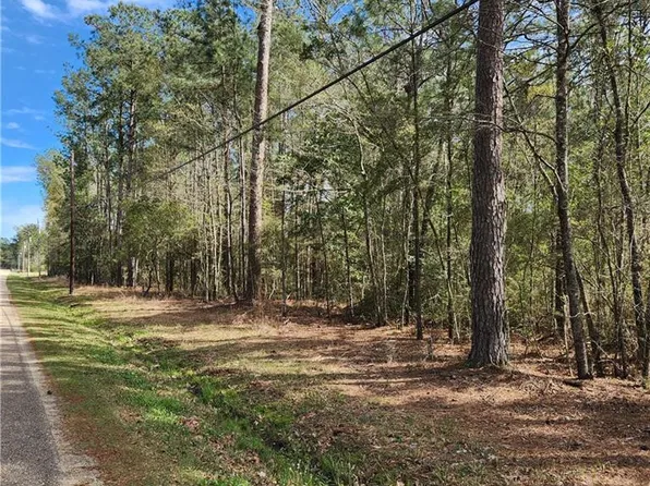35 Charles Kelly Rd, Bush, LA 70431