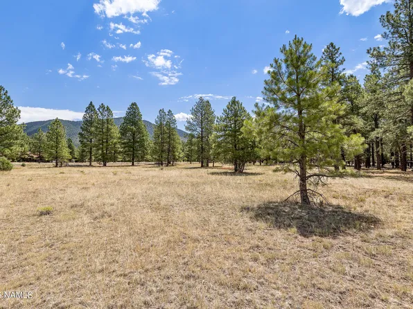 479 E Moonrise Valley, Flagstaff, AZ 86001