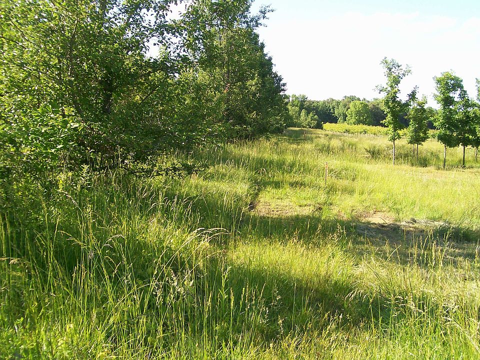 2nd image of 1028 Hennessee Bridge Rd Lot 4