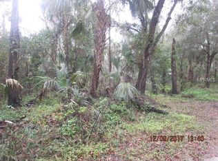 4513 Coconut Cove Pl, Valrico, FL 33596