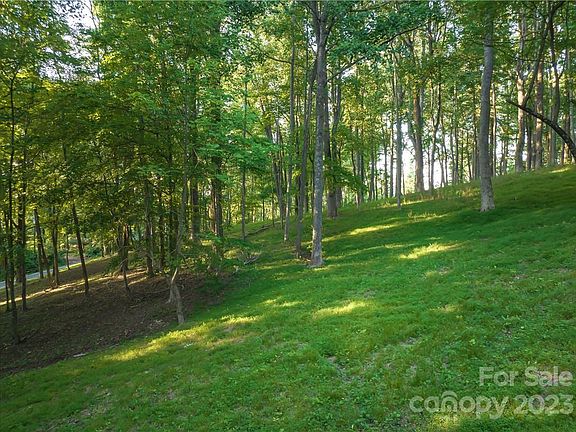 2nd image of 579 Elk Mountain Scenic Hwy #7