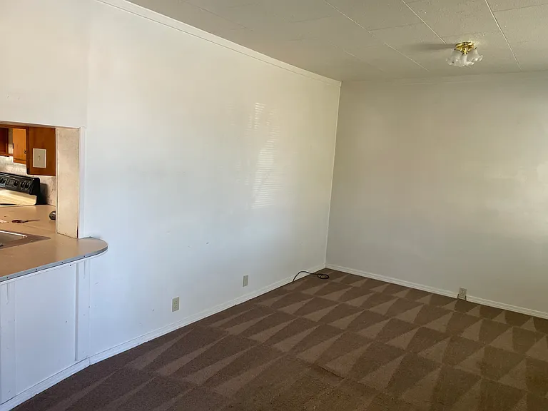 4203 S 3rd St — Photo 5