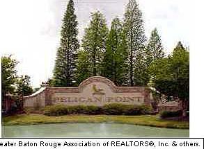 1st image of 216 Dove Estates Ct
