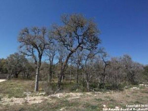 3rd image of 2685 Black Bear Dr