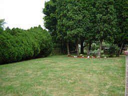 Simply landscaped yard