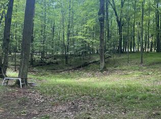 5899 Elm Run, Farwell, MI 48622