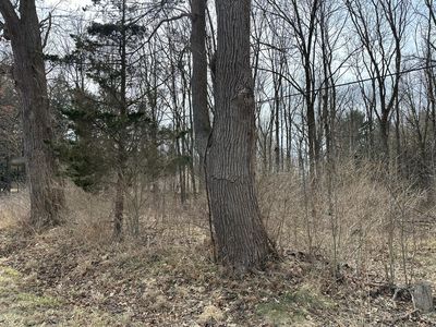 0 M 99 S, Albion, MI, 49224