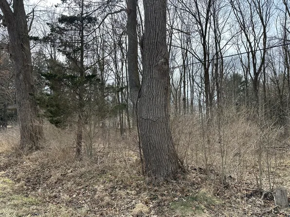 0 M 99 S, Albion, MI 49224