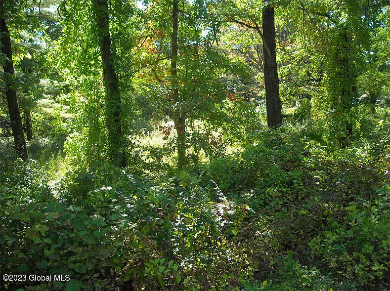 2nd image of L41 Mud Pond Road