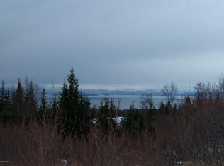 54341 Del Urban Ct, Homer, AK 99603