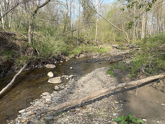 4th image of 14245 Collins Center Zoar Rd