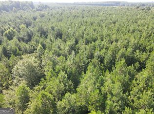 0 Indian Trail Rd, Sylvania, GA 30467