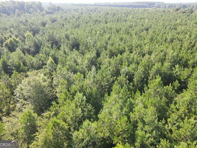 0 Indian Trail Rd, Sylvania, GA, 30467