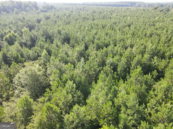 0 Indian Trail Rd, Sylvania, GA 30467