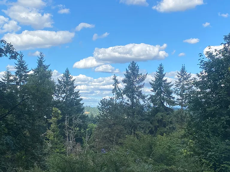 View from the Deck