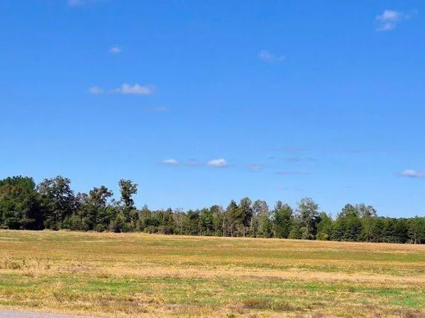 TRACT 35 County Rd #32, Centre, AL 35960