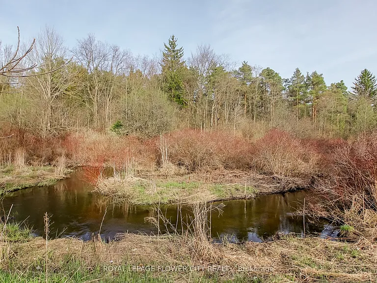 7555 Old Church Rd — Photo 40