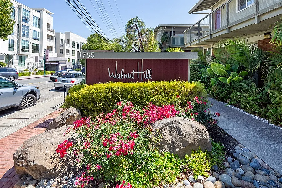WALNUT HILL — Photo 2