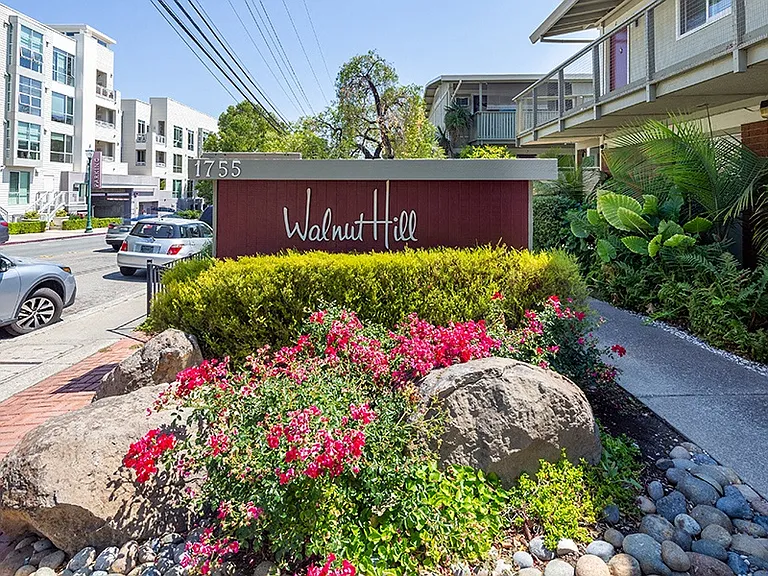 WALNUT HILL — Photo 2
