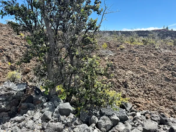 Marlin Blvd Lot 21, Captain Cook, HI 96704