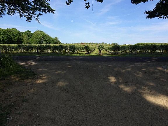 2nd image of 2176 Wilderness Trl