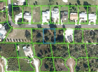 148 Lincoln Rd NW, Lake Placid, FL 33852