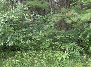 Radov Dr, Gladwin, MI 48624