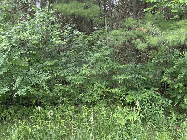 Radov Dr, Gladwin, MI 48624