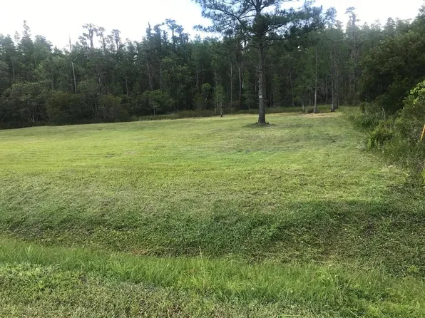 26545 C C Ln #603, Wesley Chapel, FL 33544