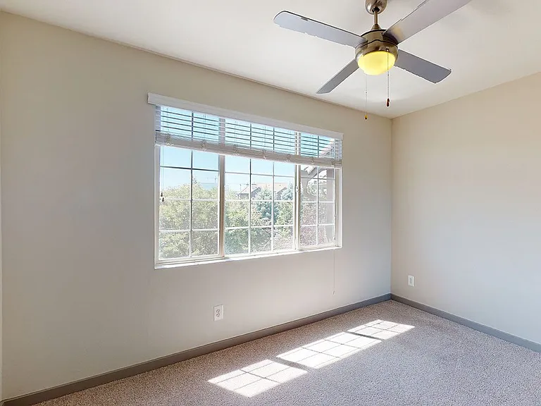 Spacious apartment bedroom with plush carpet flooring.