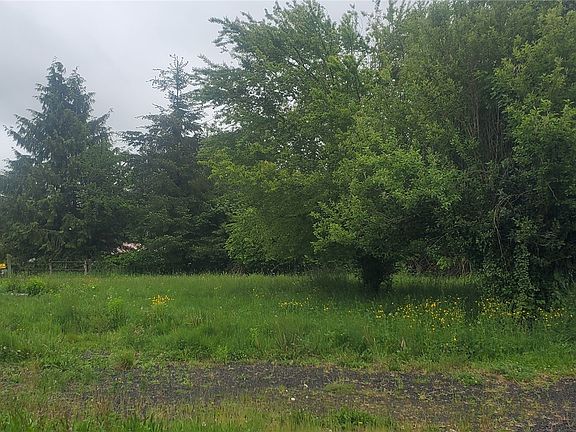 146 Damron Rd. Fruit Trees and pasture.  Stone fireplace ring.>