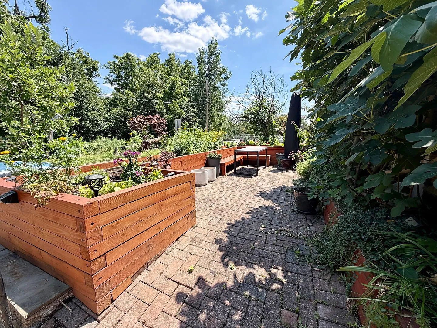 Charming 3-Bedroom Home in Drexel Hill! Available NOW! — Photo 3