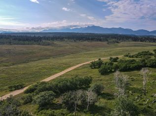 Tbd McKenzie Springs Rd, Placerville, CO 81430