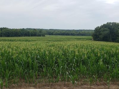 Monroe Rd #117, Madison, MO, 65263