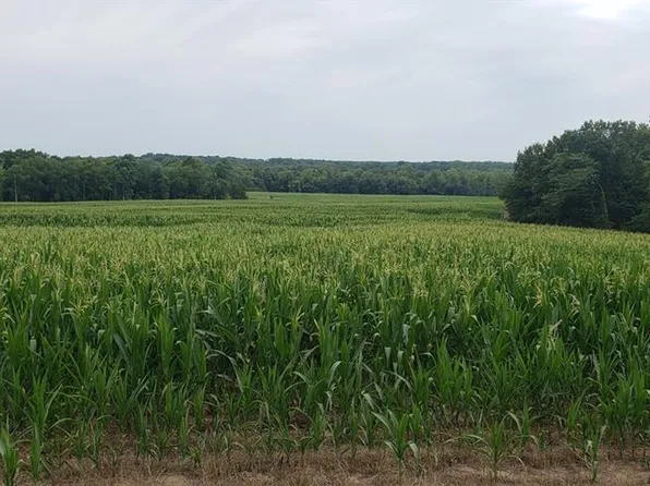 Monroe Rd #117, Madison, MO 65263