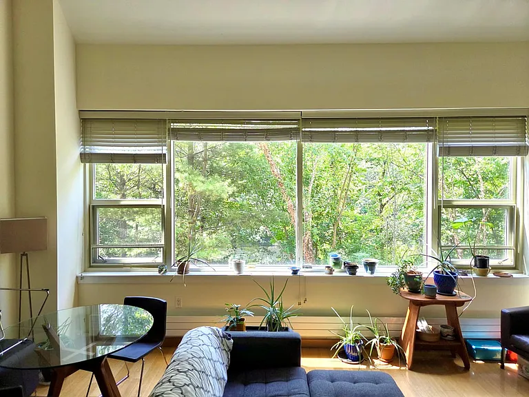 290 Pleasant St #216 — Photo 3